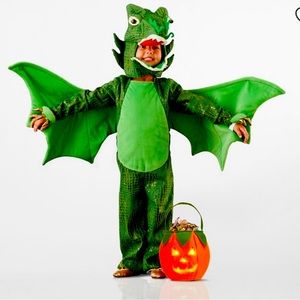 Pottery Barn Kids Dragon Costume